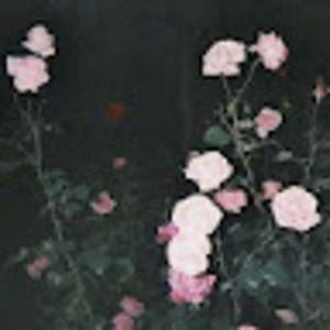 Meet your Posher, Uriel